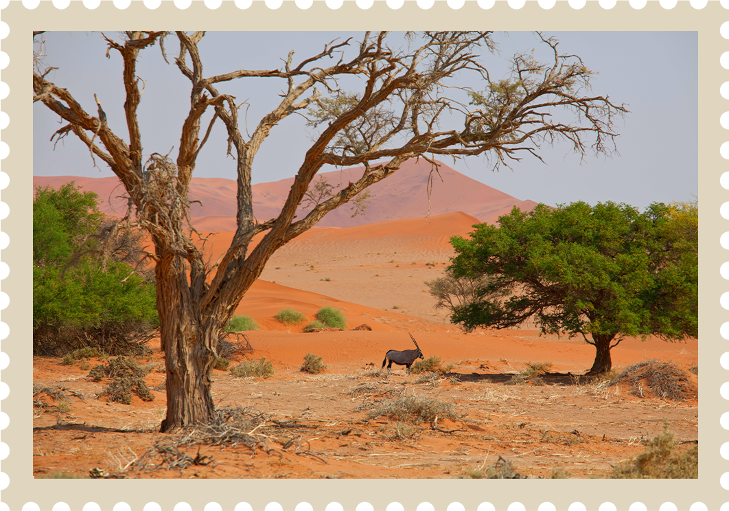 Natur in Afrika