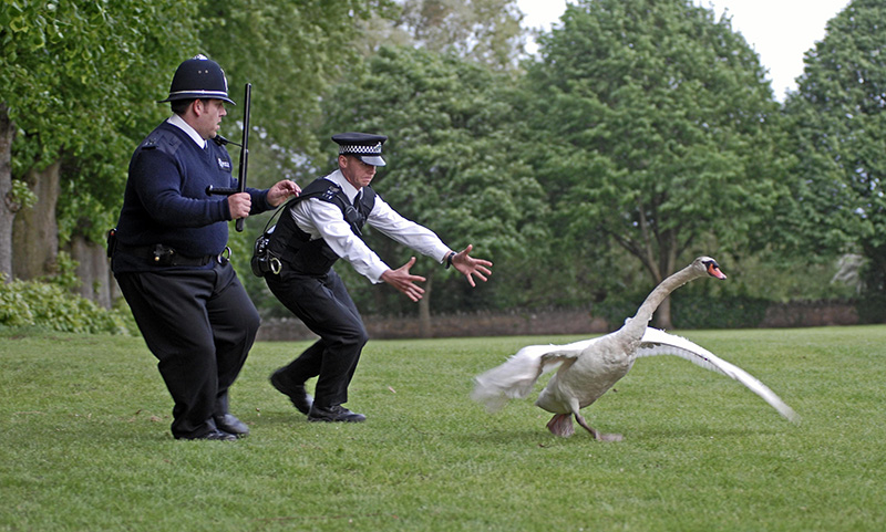 Hot Fuzz - Zwei abgewichste Profis